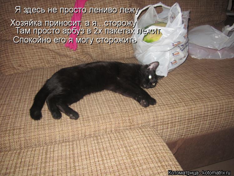 Хозяйка приносит, а я...сторожу Там просто арбуз в 2х пакетах лежит Я здесь не просто лениво лежу Спо... Котоматрица: Хозяйка приносит, а я...сторожу Там просто арбуз в 2х пакетах лежит Я здесь не просто лениво лежу Спокойно его я могу сторожить
