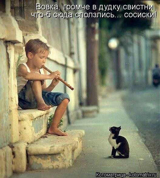 Вовка, громче в дудку свистни что-б сюда сползлись... сосиски!... Котоматрица: Вовка, громче в дудку свистни что-б сюда сползлись... сосиски!