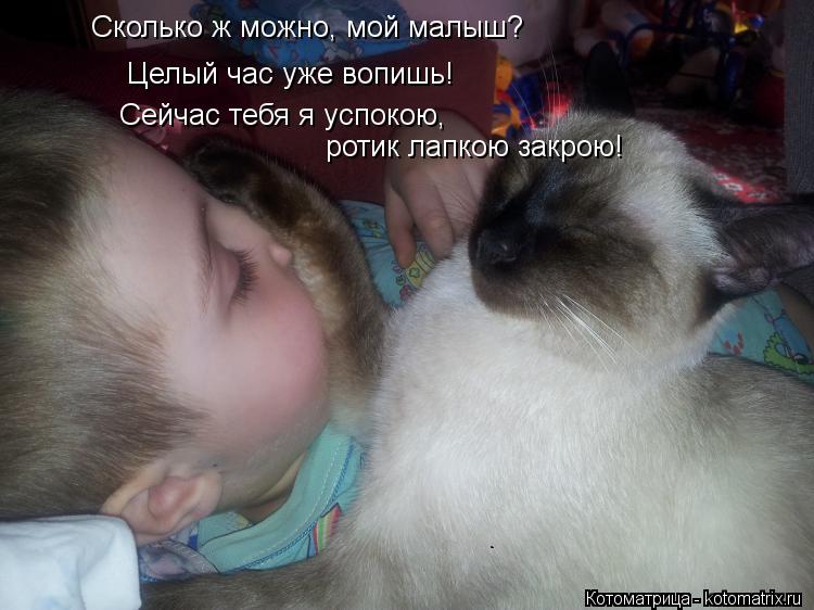 Сколько ж можно, мой малыш? Целый час уже вопишь! Сейчас тебя я успокою, ротик лапкою закрою!... Котоматрица: Сколько ж можно, мой малыш? Целый час уже вопишь! Сейчас тебя я успокою, ротик лапкою закрою!