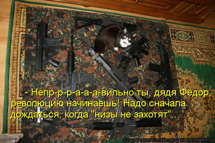Котоматрица: - Непр-р-р-а-а-а-вильно ты, дядя Фёдор, революцию начинаешь! Надо сначала дождаться, когда "низы не захотят"...