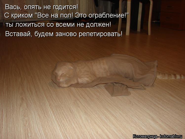 Вась, опять не годится! С криком "Все на пол! Это ограбление!" ты ложиться со всеми не должен! Встава... Котоматрица: Вась, опять не годится! С криком "Все на пол! Это ограбление!" ты ложиться со всеми не должен! Вставай, будем заново репетировать!
