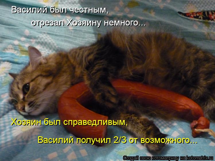 Василий был честным, отрезал Хозяину немного... Хозяин был справедливым, Василий получил 2/3 от возмо... Котоматрица: Василий был честным, отрезал Хозяину немного... Хозяин был справедливым, Василий получил 2/3 от возможного...