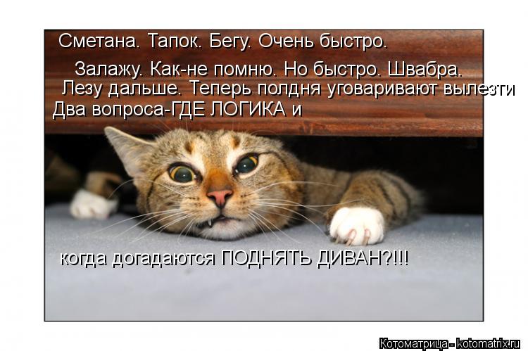 Сметана. Тапок. Бегу. Очень быстро. Залажу. Как-не помню. Но быстро. Швабра. Лезу дальше. Теперь полд... Котоматрица: Сметана. Тапок. Бегу. Очень быстро. Залажу. Как-не помню. Но быстро. Швабра. Лезу дальше. Теперь полдня уговаривают вылезти Два вопроса-ГДЕ ЛО