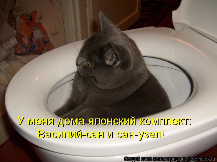 У меня дома японский комплект: Василий-сан и сан-узел!... Котоматрица: У меня дома японский комплект: Василий-сан и сан-узел!