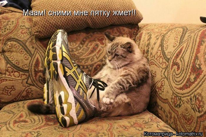 Маам! сними мне пятку жмет!!... Котоматрица: Маам! сними мне пятку жмет!!