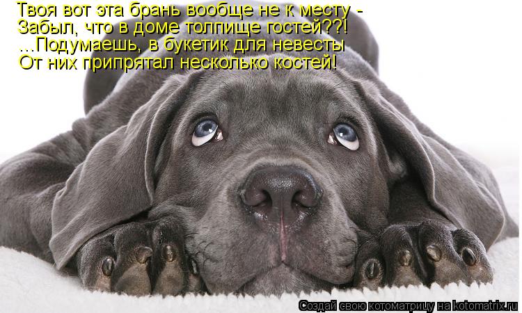 Котоматрица: Твоя вот эта брань вообще не к месту - Забыл, что в доме толпище гостей??! ...Подумаешь, в букетик для невесты От них припрятал несколько костей