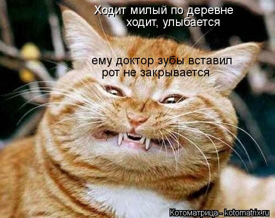 Ходит милый по деревне ходит, улыбается ему доктор зубы вставил рот не закрывается... Котоматрица: Ходит милый по деревне ходит, улыбается ему доктор зубы вставил рот не закрывается