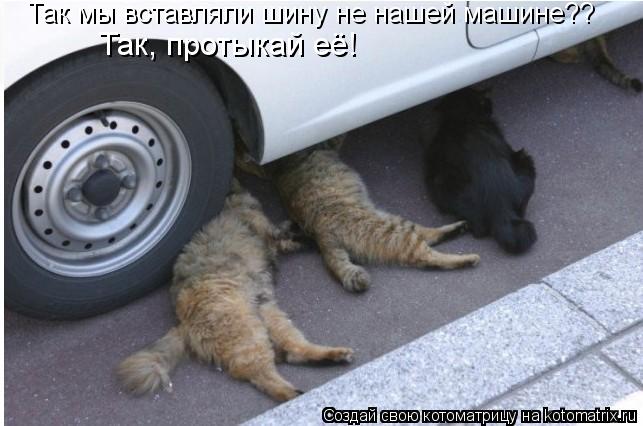 Так мы вставляли шину не нашей машине?? Так, протыкай её!... Котоматрица: Так мы вставляли шину не нашей машине?? Так, протыкай её!