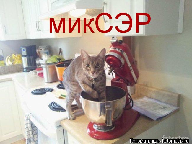 микСЭР... Котоматрица: микСЭР