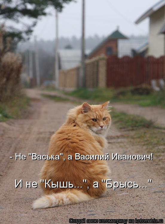 - Не "Васька", а Василий Иванович! И не "Кышь...", а "Брысь..."... Котоматрица: - Не "Васька", а Василий Иванович! И не "Кышь...", а "Брысь..."
