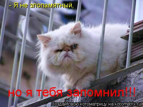 - Я не злопамятный, но я тебя запомнил!!!... Котоматрица: - Я не злопамятный, но я тебя запомнил!!!
