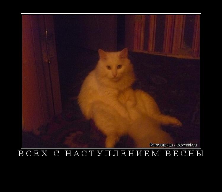 ВСЕХ С НАСТУПЛЕНИЕМ ВЕСНЫ ... Котоматрица: ВСЕХ С НАСТУПЛЕНИЕМ ВЕСНЫ