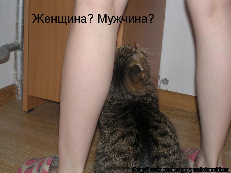 Женщина? Мужчина?... Котоматрица: Женщина? Мужчина?