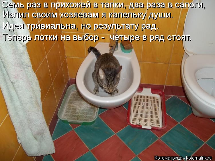 Семь раз в прихожей в тапки, два раза в сапоги, Излил своим хозяевам я капельку души. Идея тривиальна... Котоматрица: Семь раз в прихожей в тапки, два раза в сапоги, Излил своим хозяевам я капельку души. Идея тривиальна, но результату рад. Теперь лотки на выбо