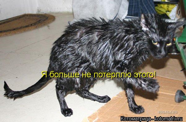 Я больше не потерплю этого!... Котоматрица: Я больше не потерплю этого!