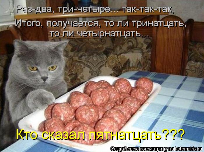Котоматрица: Раз-два, три-четыре... так-так-так, то ли четырнатцать... Итого, получается, то ли тринатцать, Кто сказал пятнатцать???
