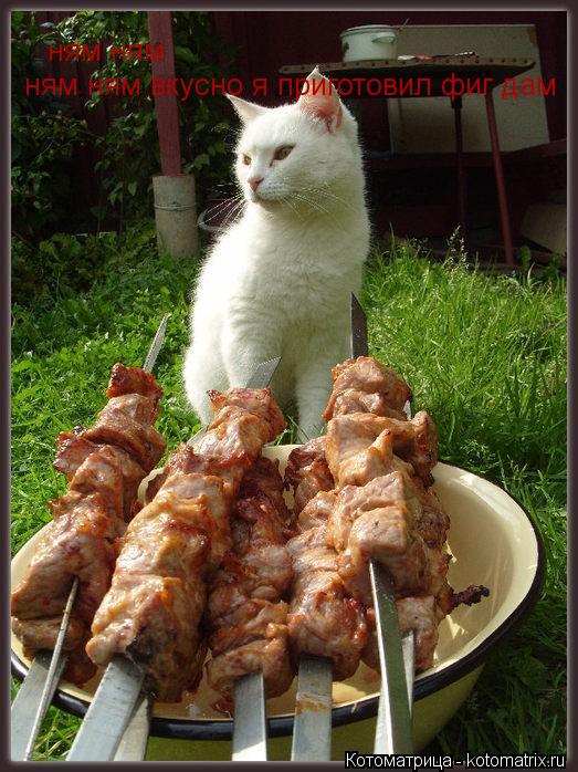 ням ням ням ням вкусно я приготовил фиг дам... Котоматрица: ням ням ням ням вкусно я приготовил фиг дам