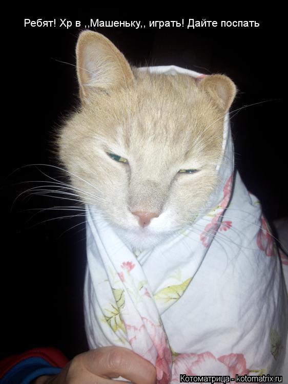 Ребят! Хр в ,,Машеньку,, играть! Дайте поспать... Котоматрица: Ребят! Хр в ,,Машеньку,, играть! Дайте поспать