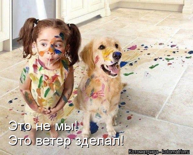 Это не мы! Это ветер зделал!... Котоматрица: Это не мы! Это ветер зделал!