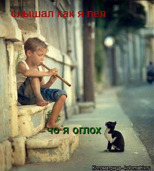 слышал как я пел чо я оглох... Котоматрица: слышал как я пел чо я оглох