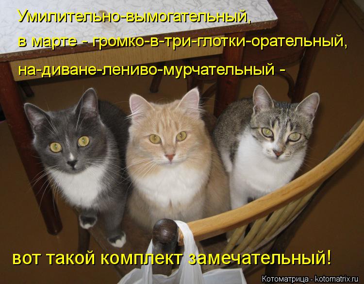 Умилительно-вымогательный, в марте - громко-в-три-глотки-орательный, на-диване-лениво-мурчательный -... Котоматрица: Умилительно-вымогательный, в марте - громко-в-три-глотки-орательный, на-диване-лениво-мурчательный - вот такой комплект замечательный!