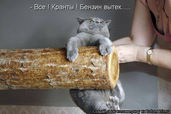 - Все ! Кранты ! Бензин вытек........ Котоматрица: - Все ! Кранты ! Бензин вытек.....