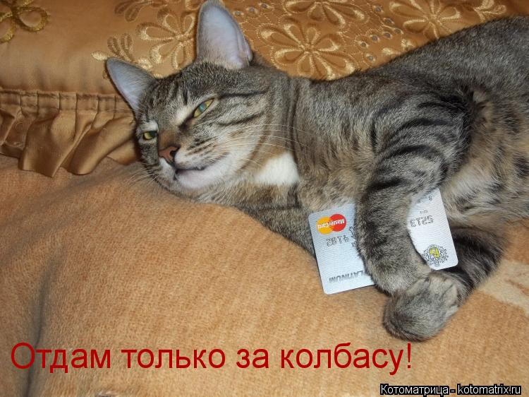 Отдам только за колбасу!... Котоматрица: Отдам только за колбасу!