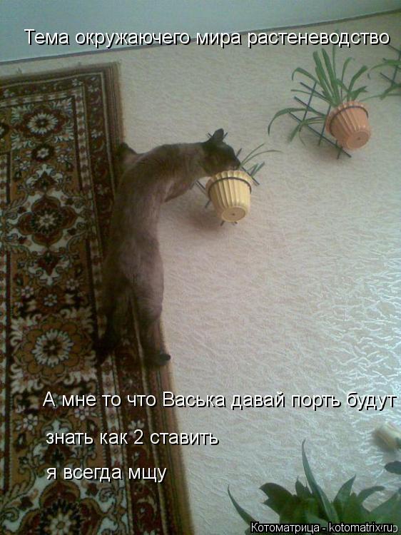 Тема окружаючего мира растеневодство А мне то что Васька давай порть будут знать как 2 ставить знать ... Котоматрица: Тема окружаючего мира растеневодство А мне то что Васька давай порть будут знать как 2 ставить знать как 2 ставить я всегда мщу