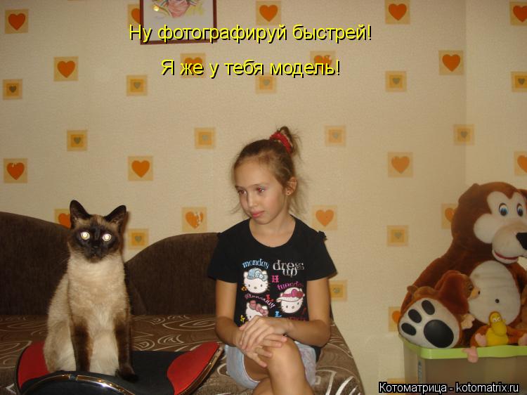 Ну фотографируй быстрей! Я же у тебя модель!... Котоматрица: Ну фотографируй быстрей! Я же у тебя модель!