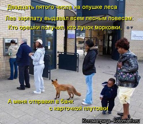 Котоматрица: Двадцать пятого числа на опушке леса Кто орешки получил, кто пучок морковки, А меня отправил в банк  с карточкой плутовки Лев зарплату выдав