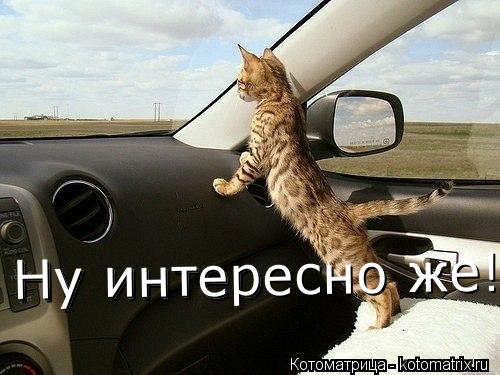 Ну интер Ну интересно же!... Котоматрица: Ну интер Ну интересно же!