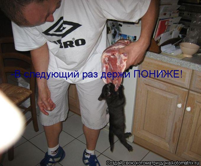 -В следующий раз держи ПОНИЖЕ!... Котоматрица: -В следующий раз держи ПОНИЖЕ!