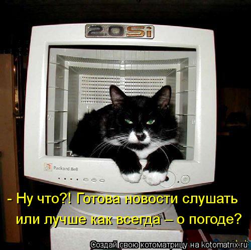 - Ну что?! Готова новости слушать или лучше как всегда – о погоде?... Котоматрица: - Ну что?! Готова новости слушать или лучше как всегда – о погоде?