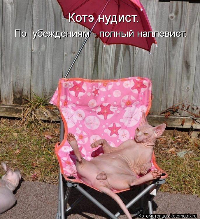 Котэ нудист. По убеждениям - полный наплевист.... Котоматрица: Котэ нудист. По убеждениям - полный наплевист.