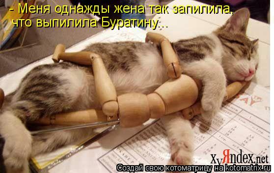 - Меня однажды жена так запилила, что выпилила Буратину...... Котоматрица: - Меня однажды жена так запилила, что выпилила Буратину...