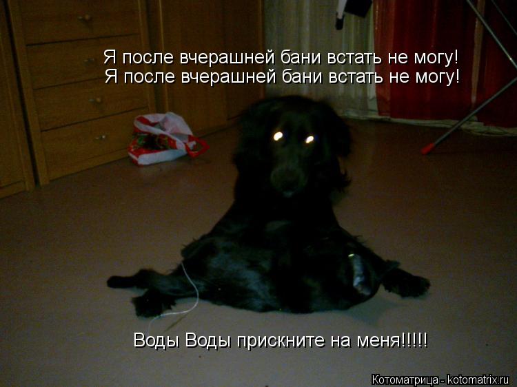 Воды Воды прискните на меня!!!!! Я после вчерашней бани встать не могу! Я после вчерашней бани встать... Котоматрица: Воды Воды прискните на меня!!!!! Я после вчерашней бани встать не могу! Я после вчерашней бани встать не могу!