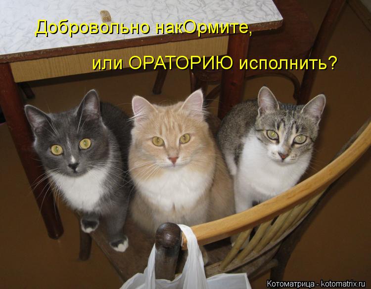 Добровольно накОрмите, или ОРАТОРИЮ исполнить?... Котоматрица: Добровольно накОрмите, или ОРАТОРИЮ исполнить?