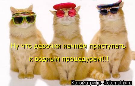 Ну что девочки начнём приступать к водным процедурам!!!... Котоматрица: Ну что девочки начнём приступать к водным процедурам!!!