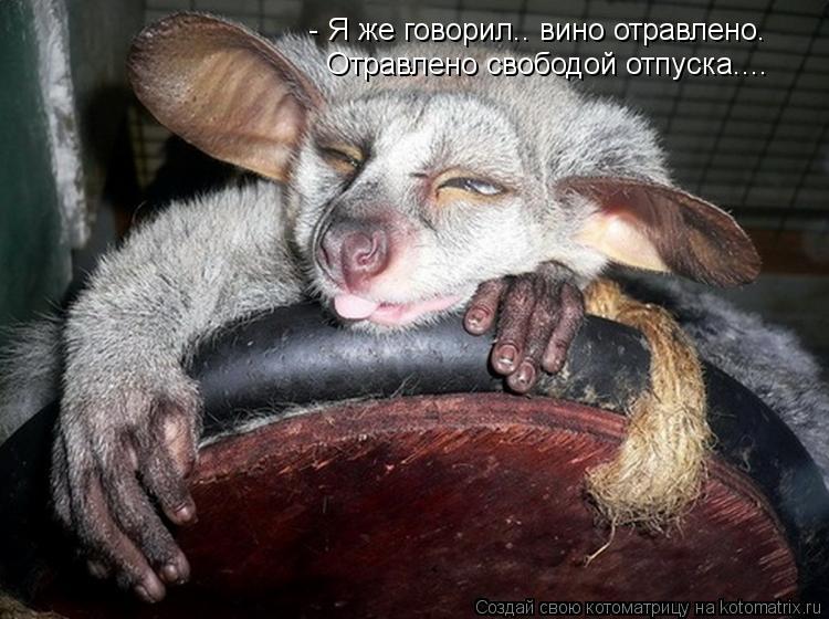 - Я же говорил.. вино отравлено. Отравлено свободой отпуска....... Котоматрица: - Я же говорил.. вино отравлено. Отравлено свободой отпуска....