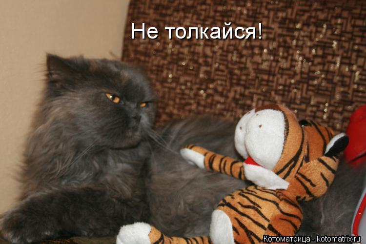 Не толкайся!... Котоматрица: Не толкайся!