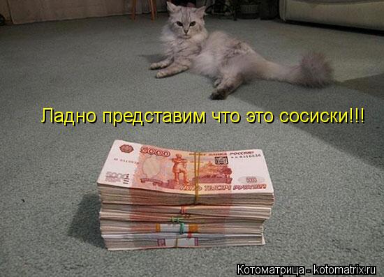 Ладно представим что это сосиски!!!... Котоматрица: Ладно представим что это сосиски!!!