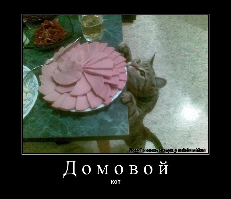 Домовой кот... Котоматрица: Домовой кот