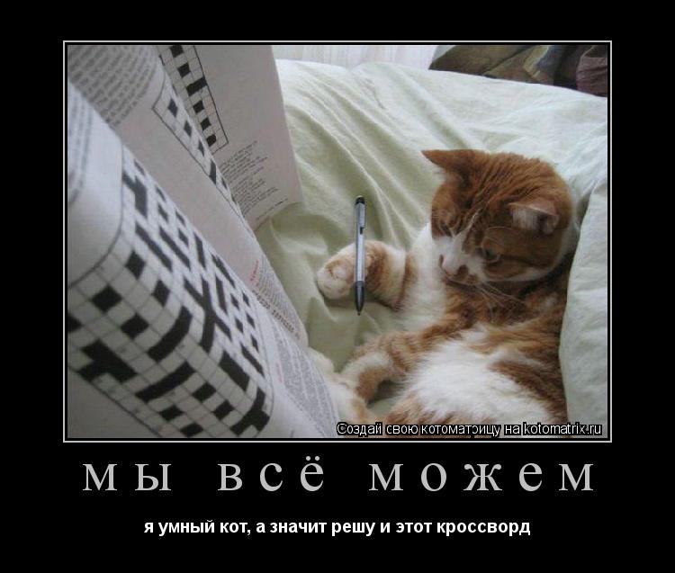 мы всё можем я умный кот, а значит решу и этот кроссворд... Котоматрица: мы всё можем я умный кот, а значит решу и этот кроссворд