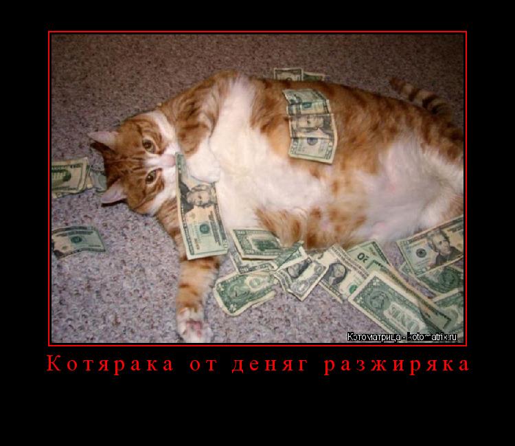Котярака от деняг разжиряка ... Котоматрица: Котярака от деняг разжиряка