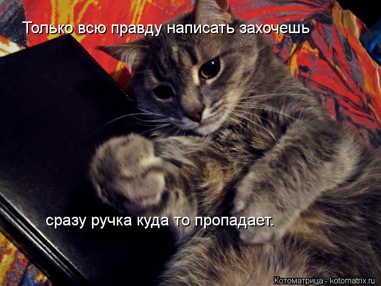 Только всю правду написать захочешь сразу ручка куда то пропадает.... Котоматрица: Только всю правду написать захочешь сразу ручка куда то пропадает.