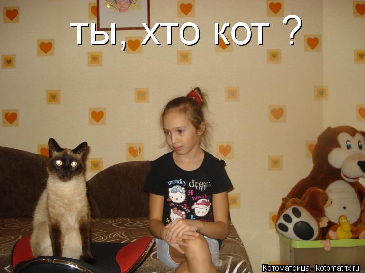 ты, хто кот ?... Котоматрица: ты, хто кот ?