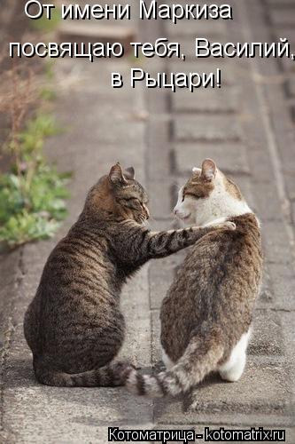 От имени Маркиза посвящаю тебя, Василий, в Рыцари!... Котоматрица: От имени Маркиза посвящаю тебя, Василий, в Рыцари!