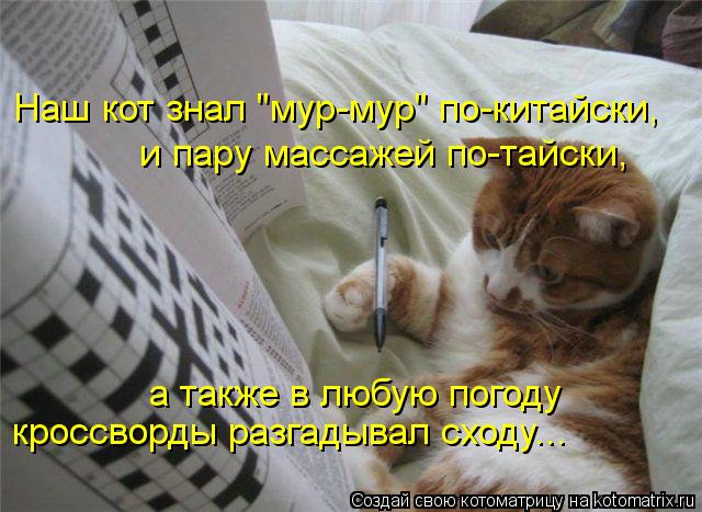 и пару массажей по-тайски, Наш кот знал "мур-мур" по-китайски, а также в любую погоду кроссворды ра... Котоматрица: и пару массажей по-тайски, Наш кот знал "мур-мур" по-китайски, а также в любую погоду кроссворды разгадывал сходу...