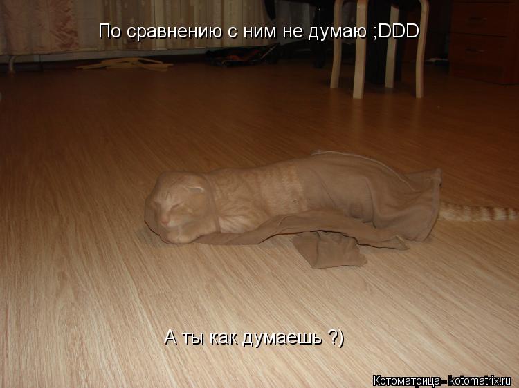 По сравнению с ним не думаю ;DDD А ты как думаешь ?) А ты как думаешь ?)... Котоматрица: По сравнению с ним не думаю ;DDD А ты как думаешь ?) А ты как думаешь ?)