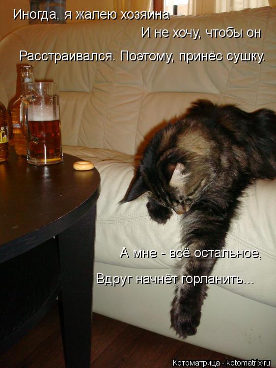 Иногда, я жалею хозяина И не хочу, чтобы он Расстраивался. Поэтому, принёс сушку. А мне - всё остальн... Котоматрица: Иногда, я жалею хозяина И не хочу, чтобы он Расстраивался. Поэтому, принёс сушку. А мне - всё остальное, Вдруг начнёт горланить...